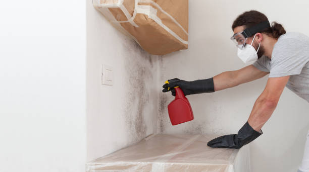 Professional Bathroom Mold Removal technician working in Somerville, MA