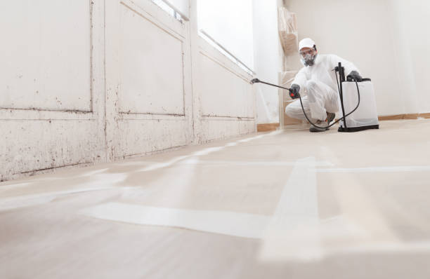 24/7 Emergency Bathroom Mold Removal experts in Somerville, MA